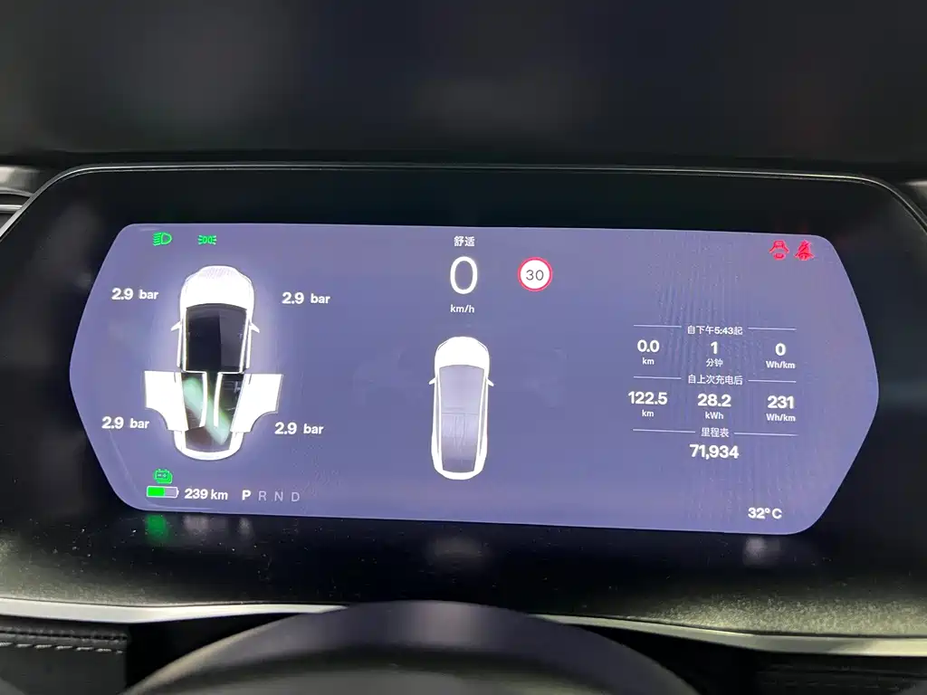 Tesla Model X — миниатюра 16