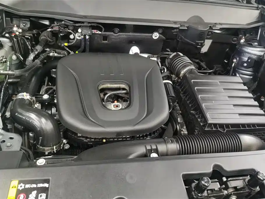 HAVAL RAPTORS NEW ENERGY