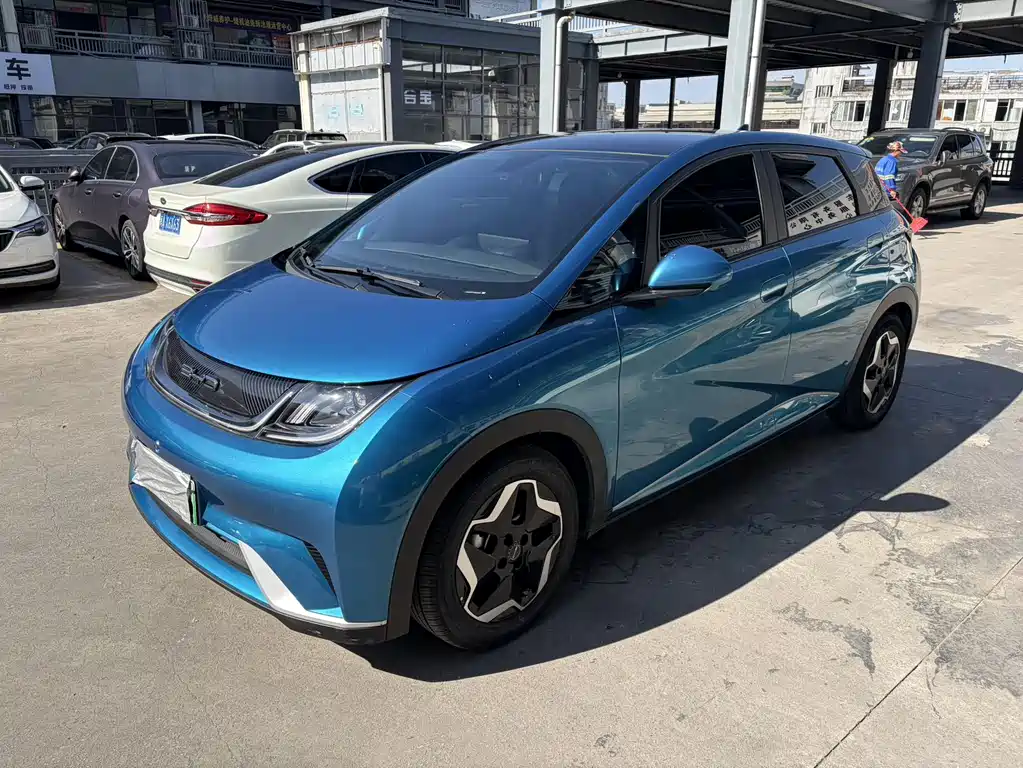 Byd Dolphin 2022