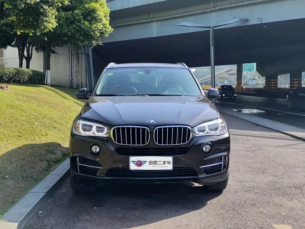 BMW X5 (Import) — миниатюра 2