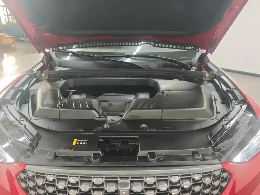 Wey Wey VV6 — миниатюра 10
