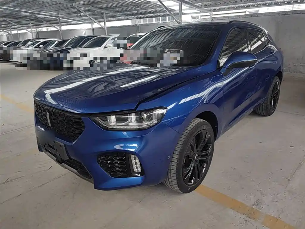 Купить Wey Wey VV5