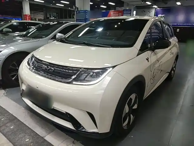 2025 BYD Dolphin