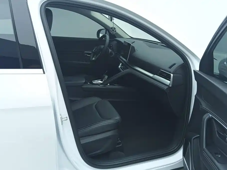 BYD Pro — миниатюра 8