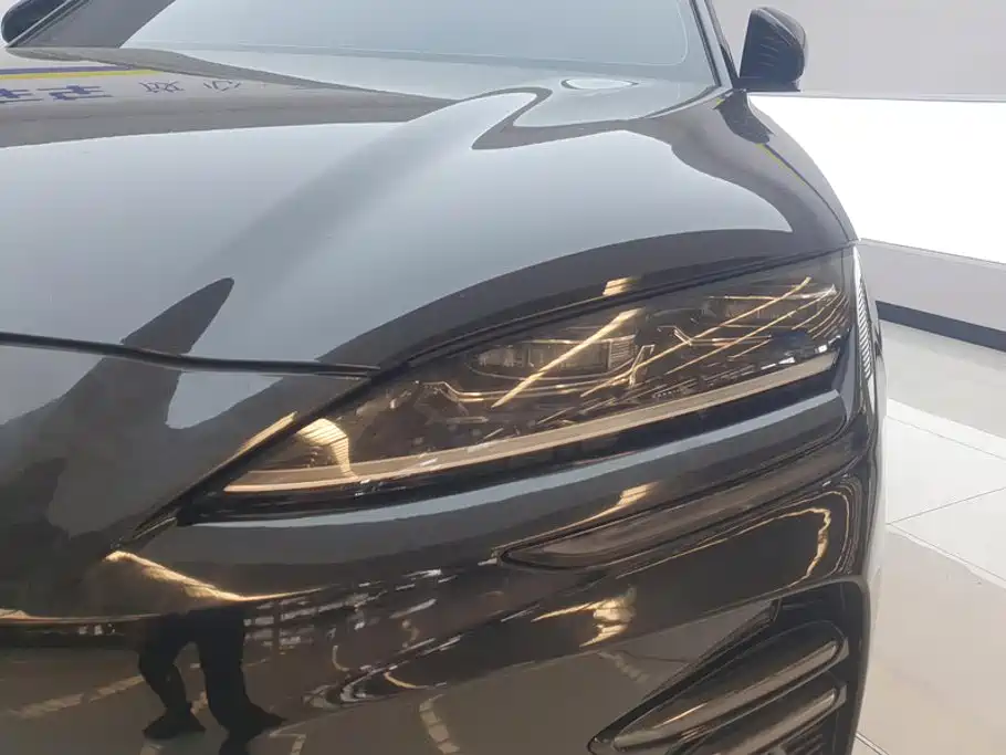 BYD PLUS New Energy — миниатюра 5