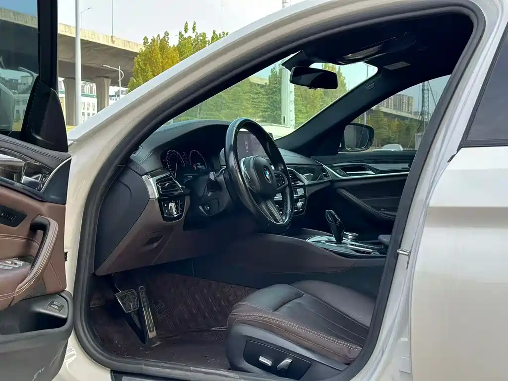 BMW 5 Series 5 2019 525Li M Sport