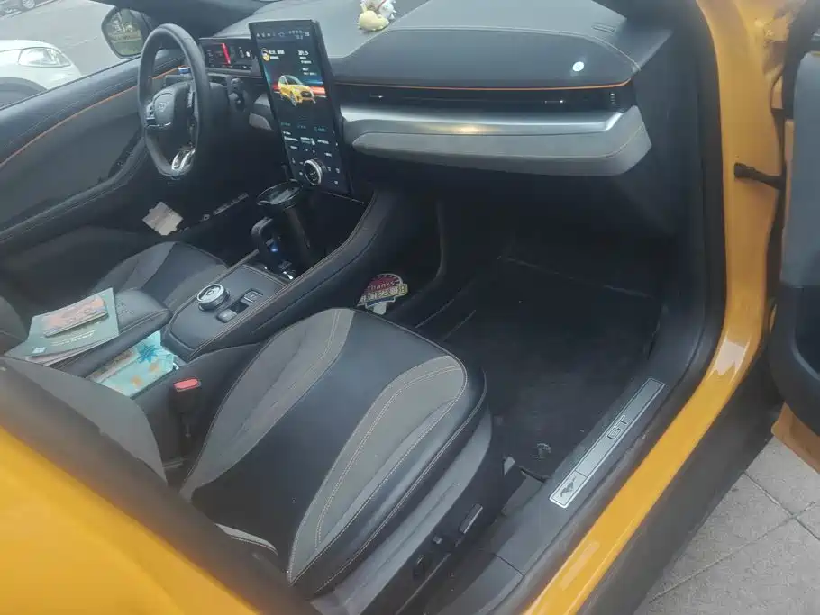 Ford Mustang Mach-E — миниатюра 8