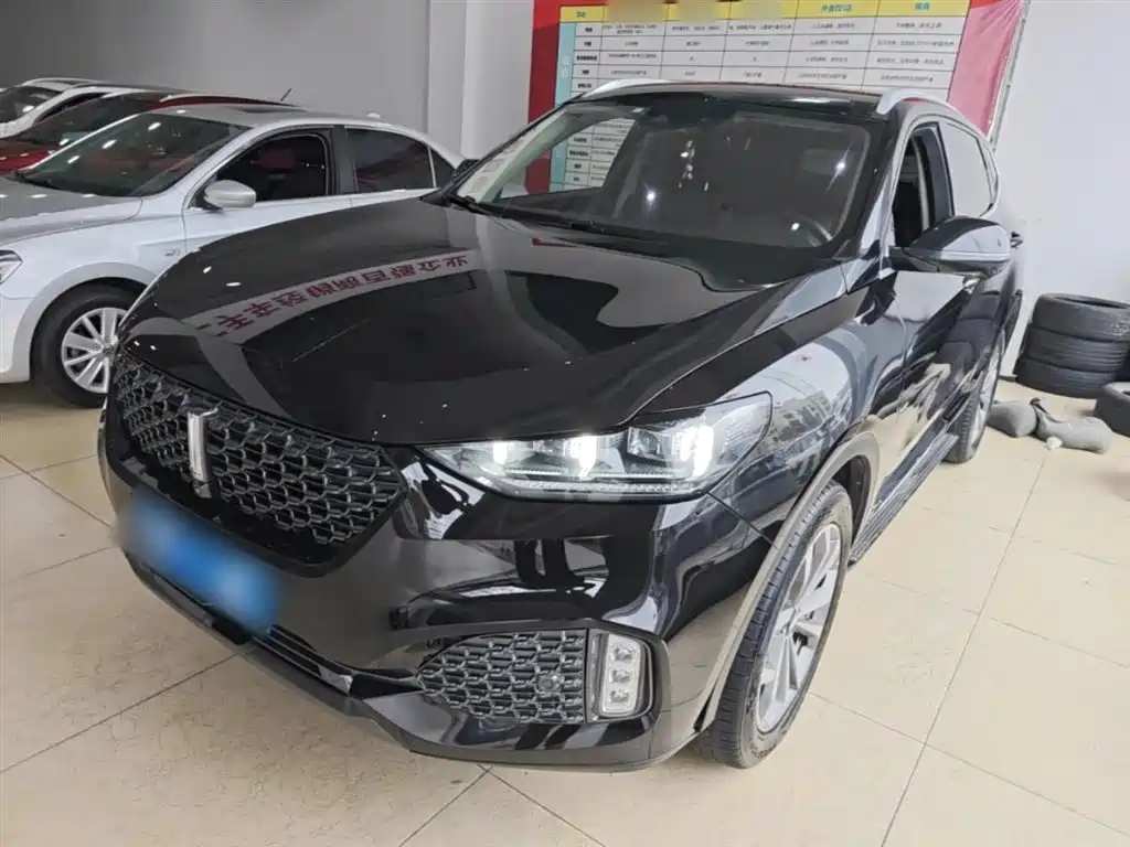 Wey Wey VV6 2020