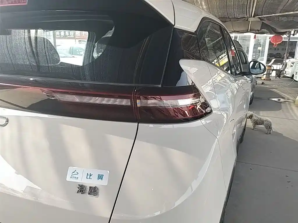 BYD Seagull 2025 305km