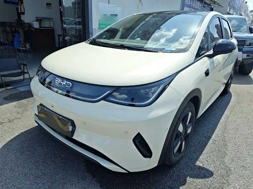 Byd Dolphin 2025