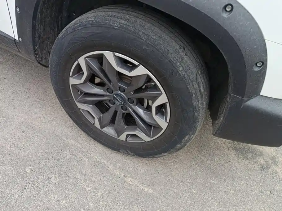 Haval Big Dog — миниатюра 6
