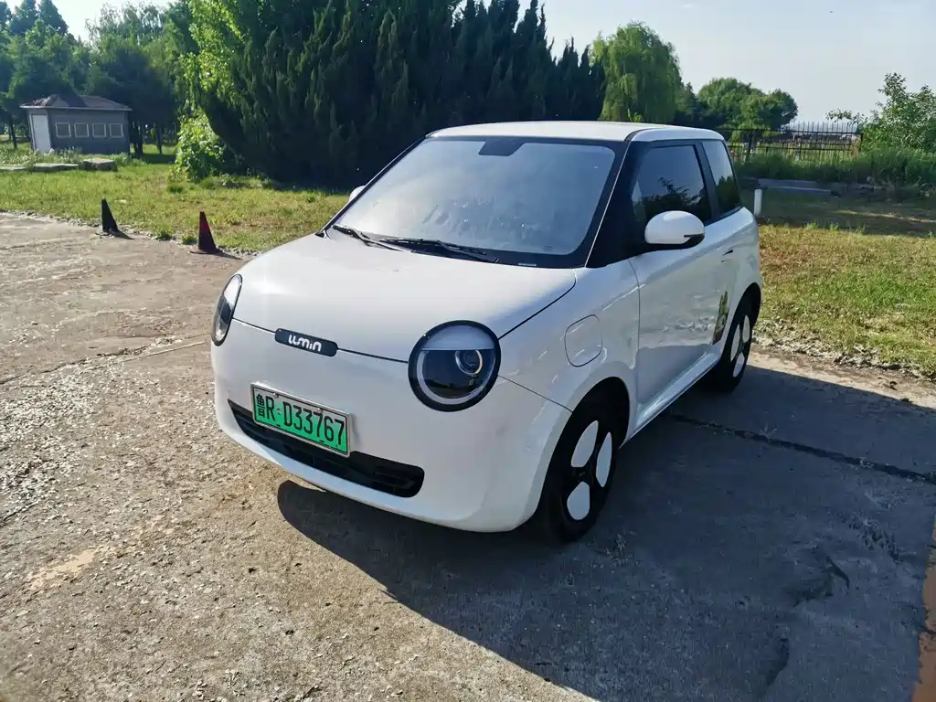 Qiyuan Lumin 2025