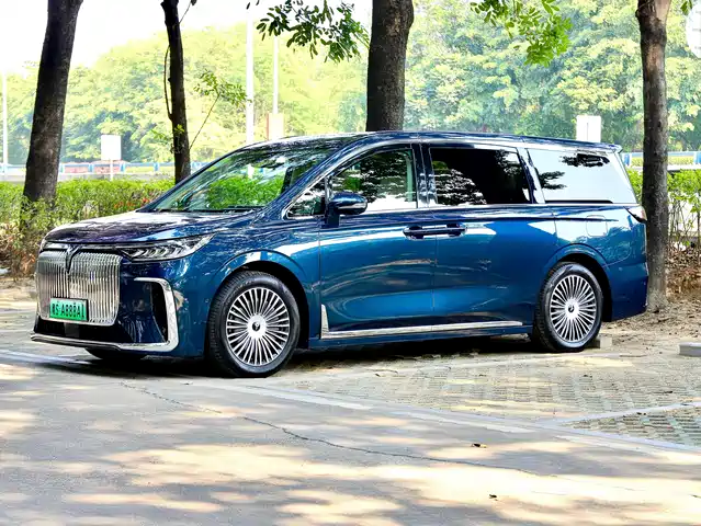 2025 Voyah Dream