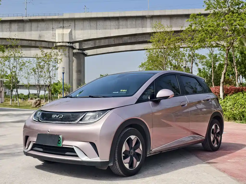 Byd Dolphin 2025