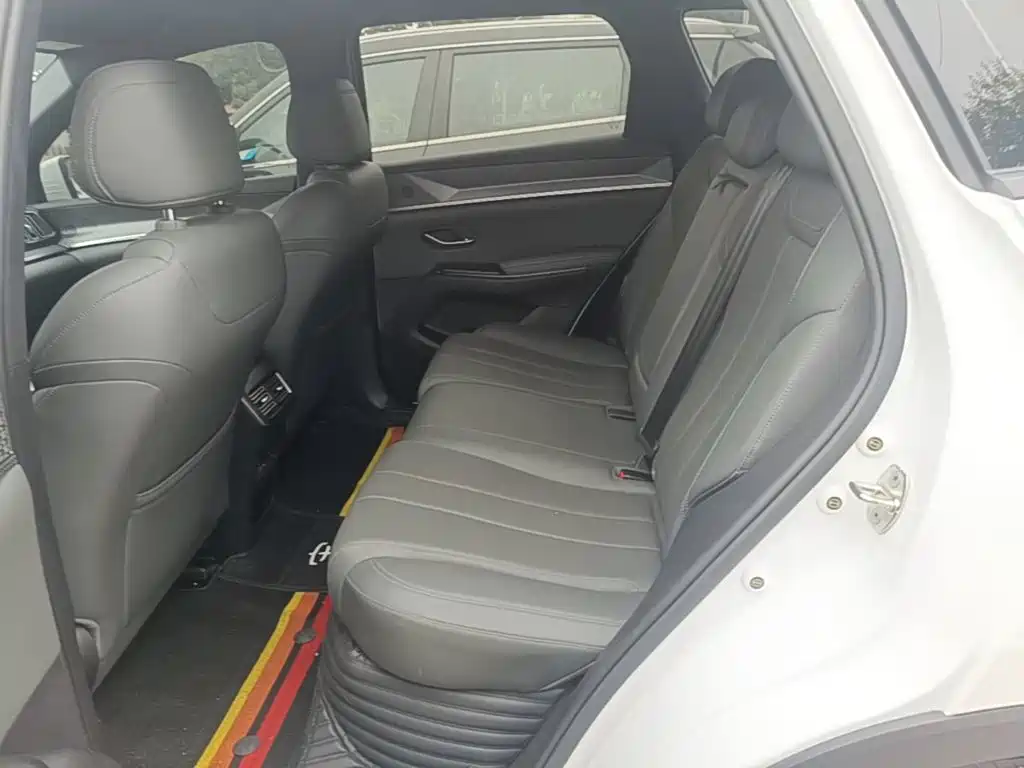 BYD Pro New Energy — миниатюра 17
