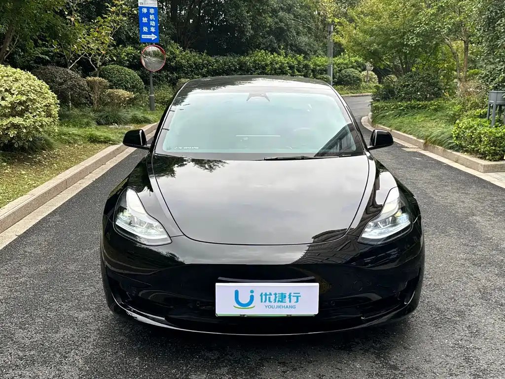 Tesla Model 3 — миниатюра 11