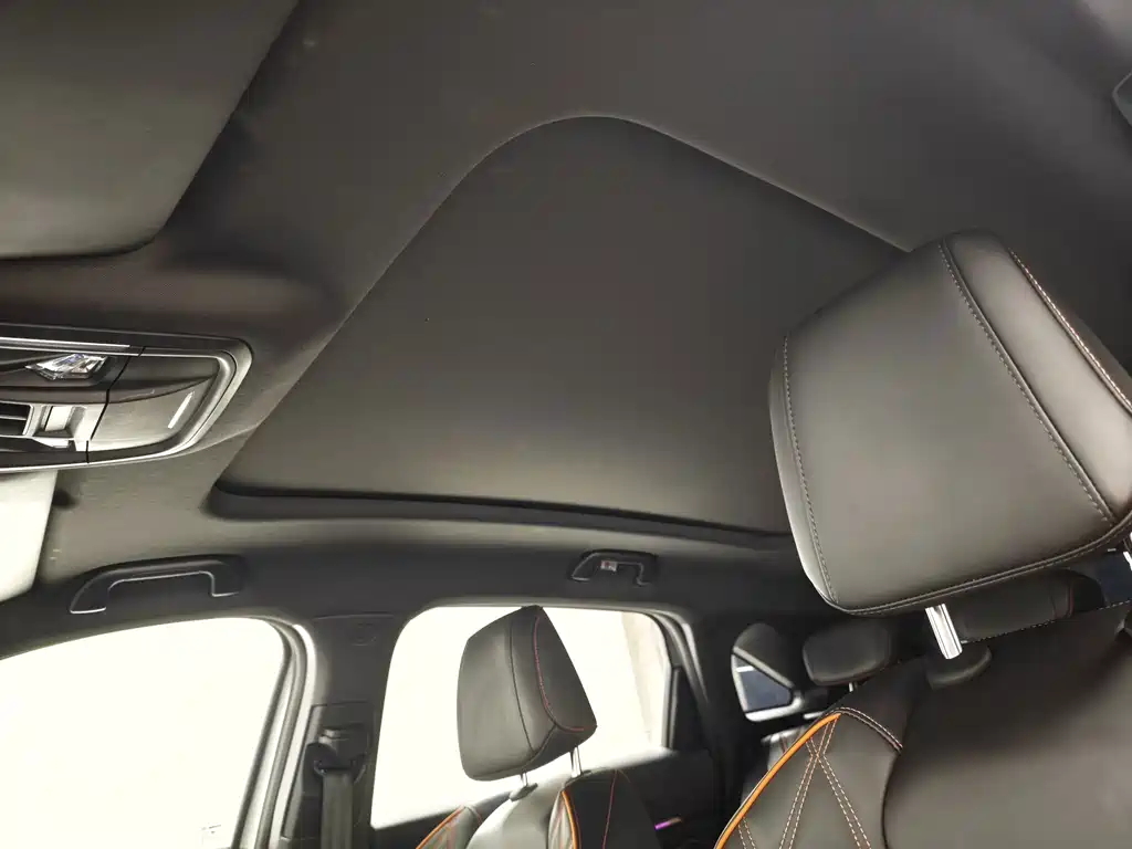 Haval Shenshou — миниатюра 14