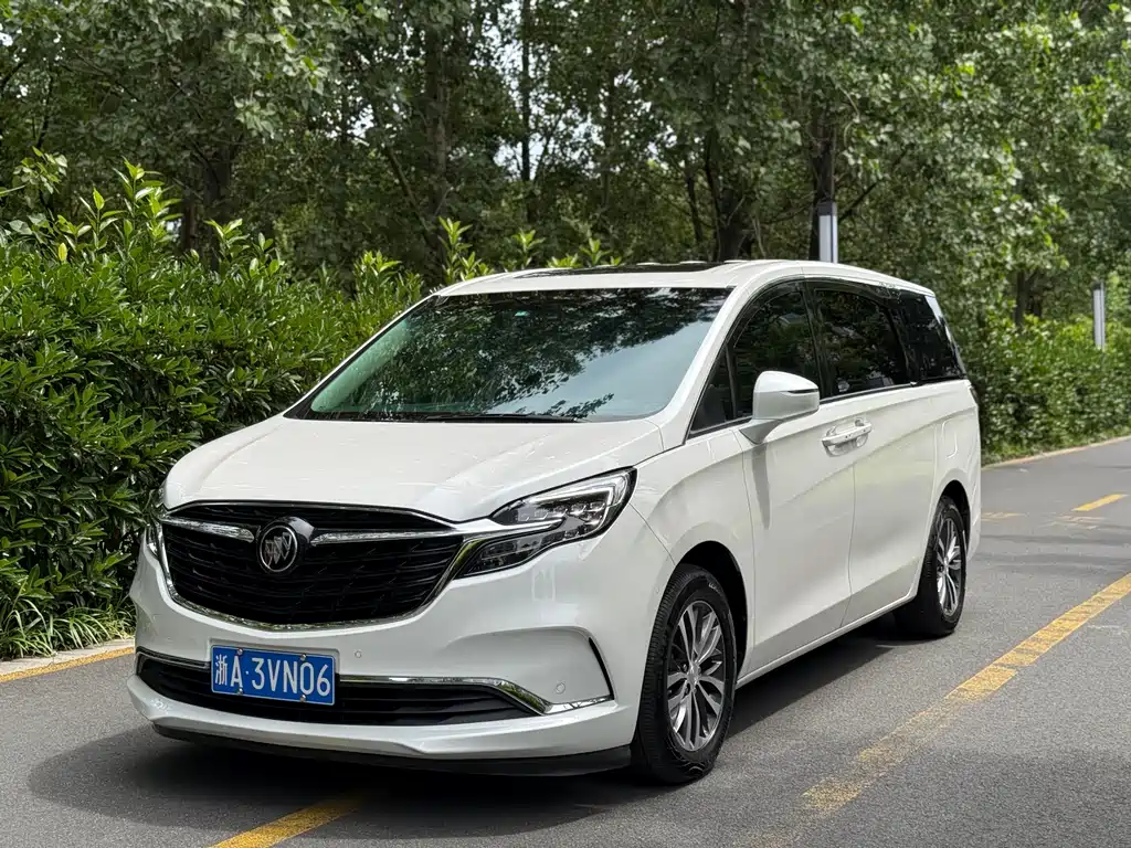 Buick GL8 2022 ES LandKing 653T Premium Type