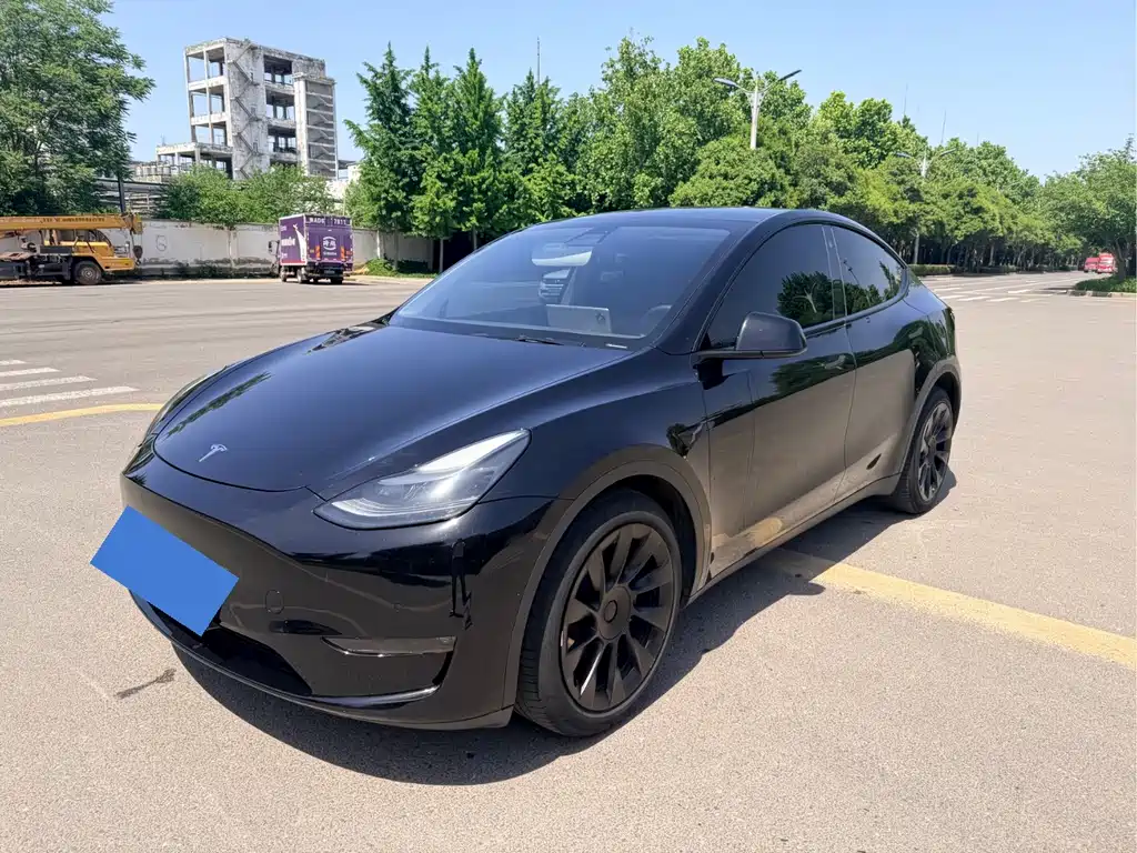 Tesla Model Y 2021 Standard Range RWD Edition