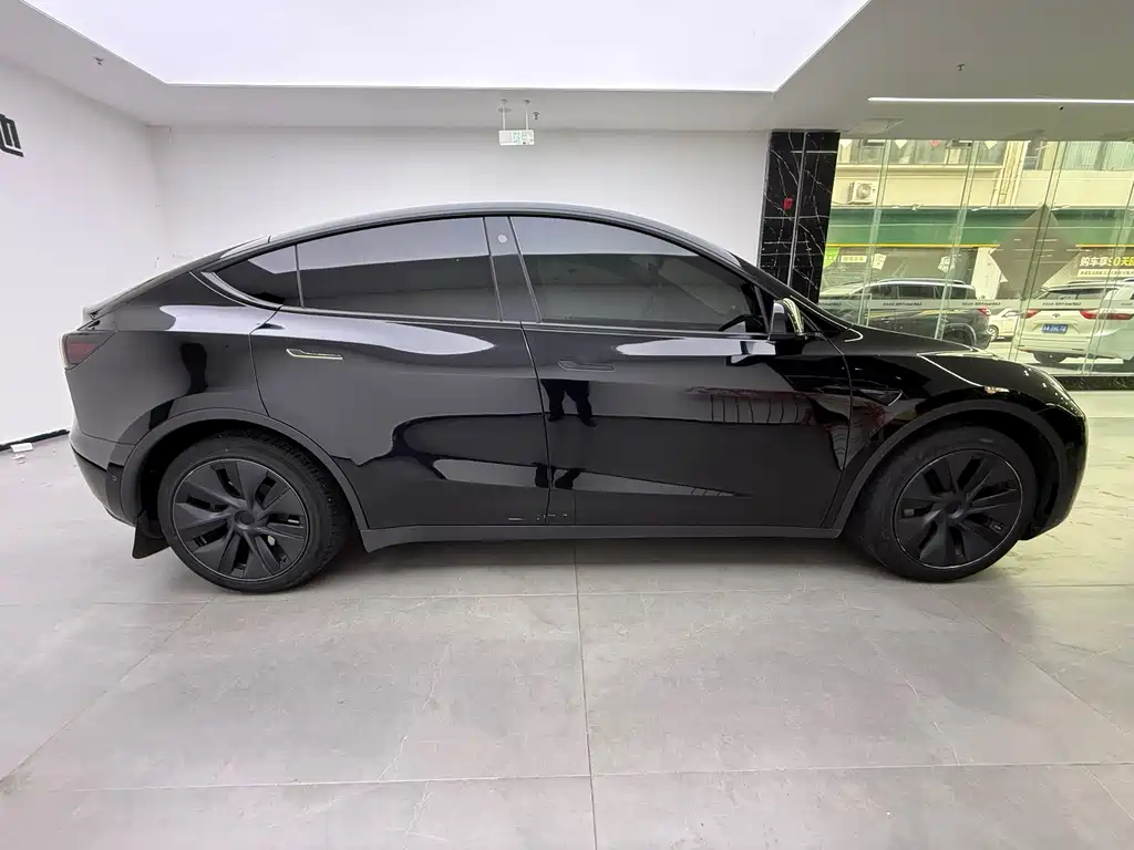 Tesla Model Y — миниатюра 6