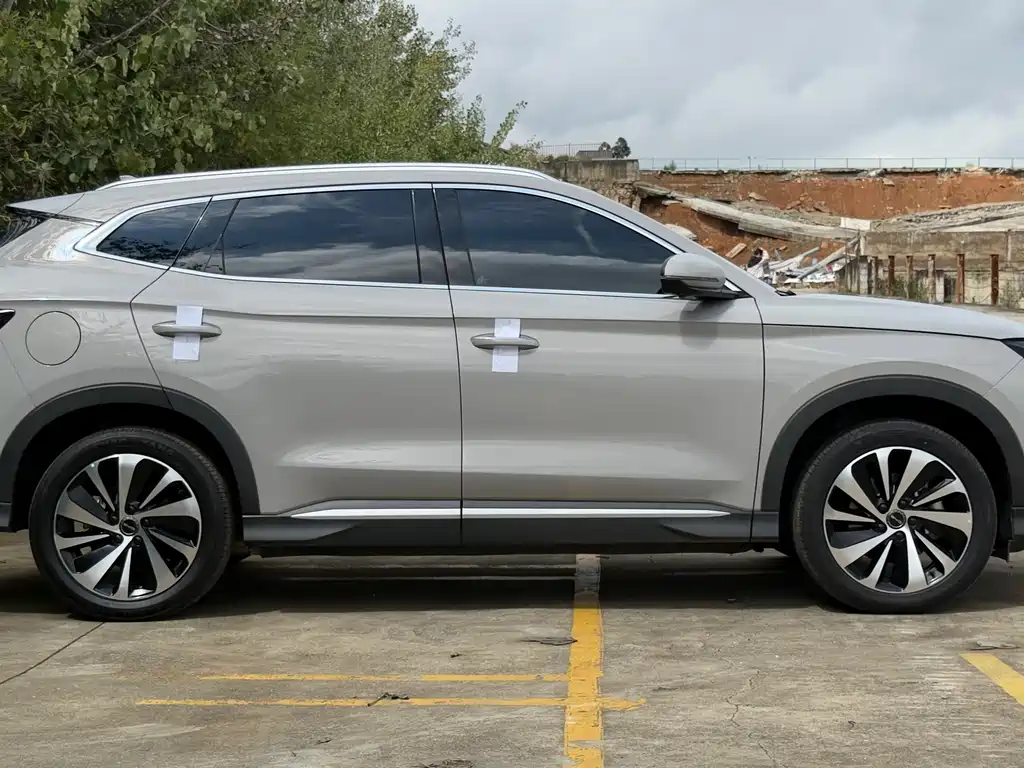 BYD SONGJIANG NEW ENERGY