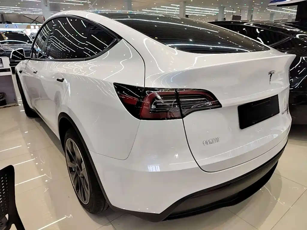 Tesla Model Y — миниатюра 5