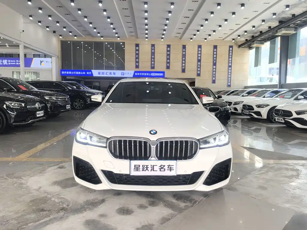 BMW 5 Series — миниатюра 2