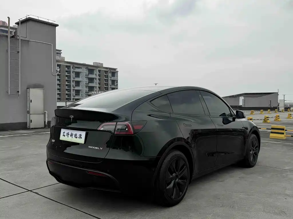 Tesla Model Y — миниатюра 4