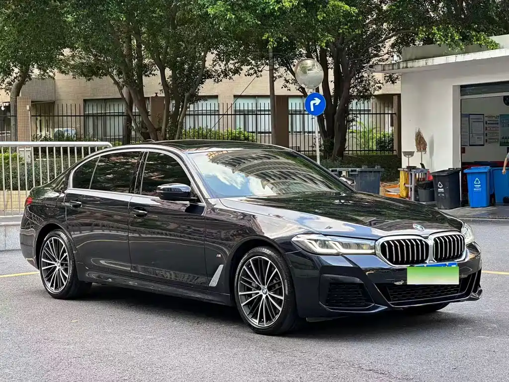 BMW 5 Series — миниатюра 2