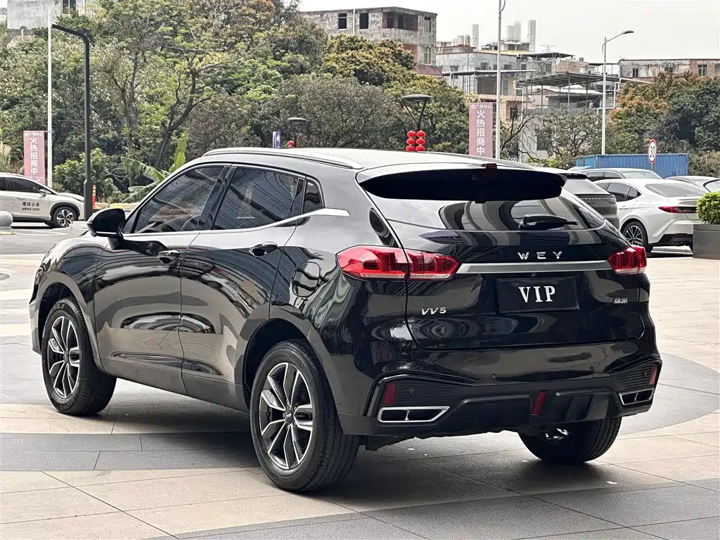 WEI PAI WEI BRAND VV5