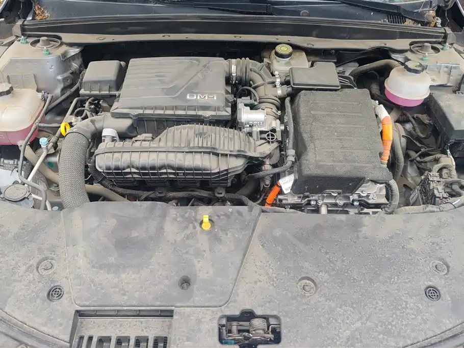 BYD Destroyer 05 2024 DM-i 55KM Luxury