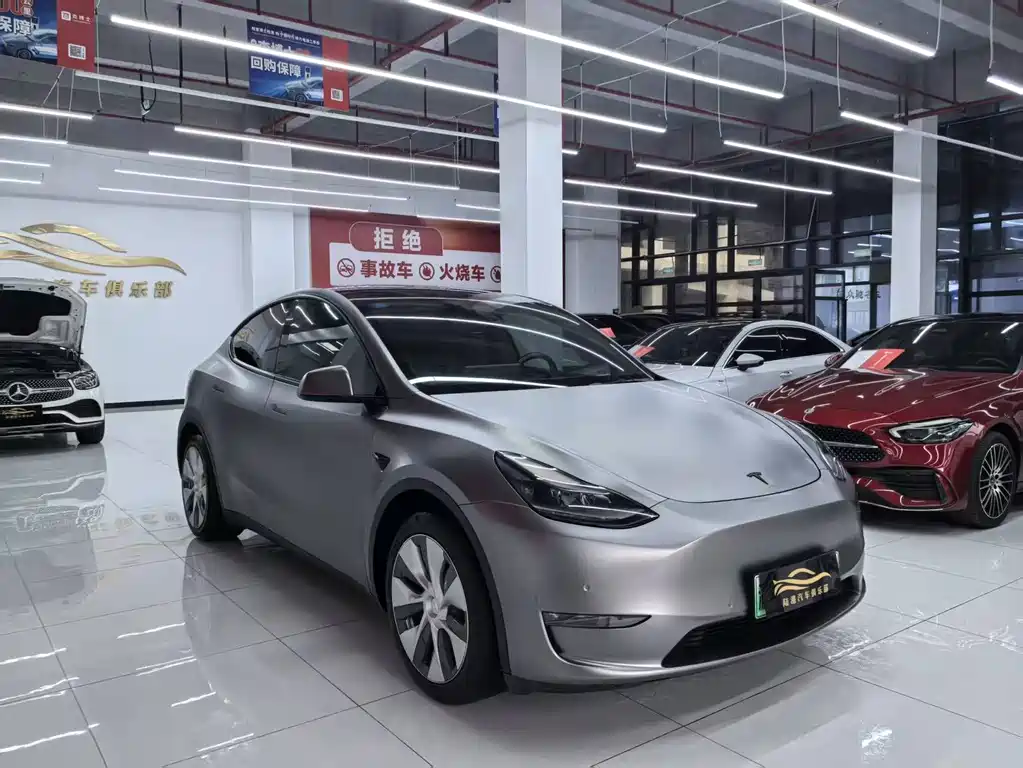 Tesla Model Y — миниатюра 3