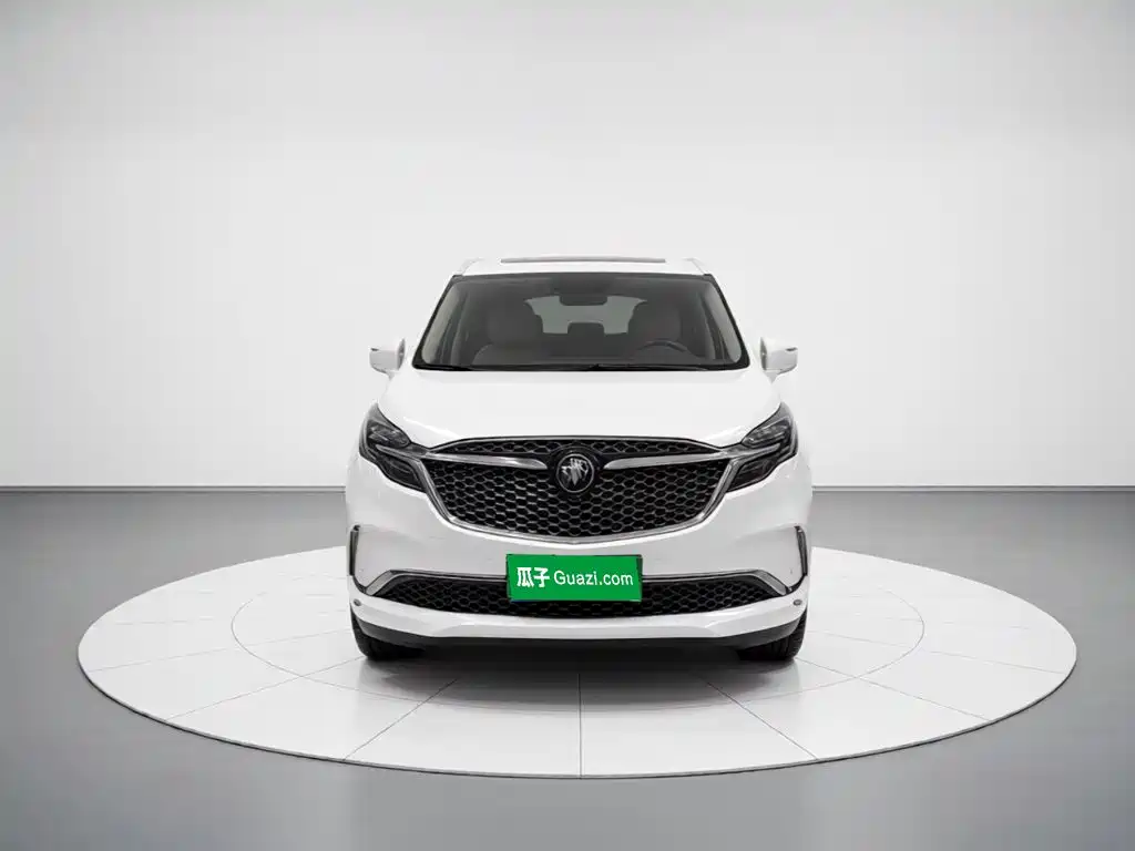 Buick GL8 — миниатюра 2