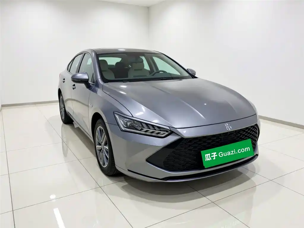 BYD Qin Plus PLUS 2023 Champion DM-i 120KM Lead
