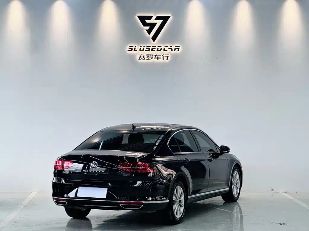 Volkswagen Magotan 2019 330TSI DSG Luxury VI