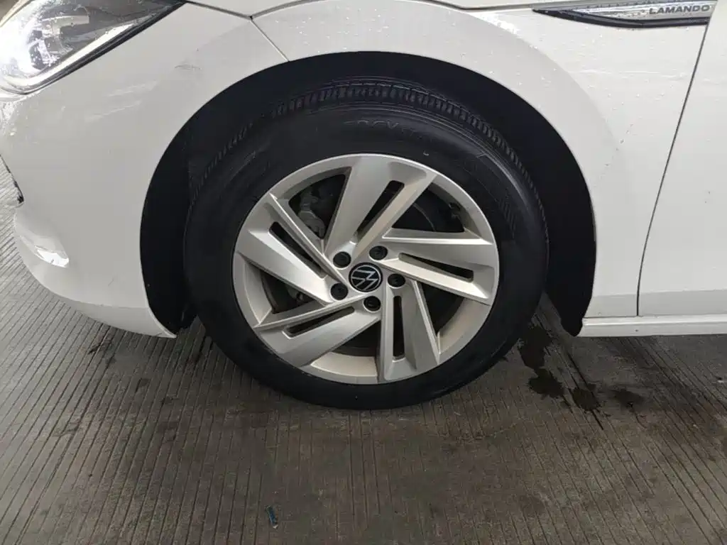 Volkswagen Lamando — миниатюра 23