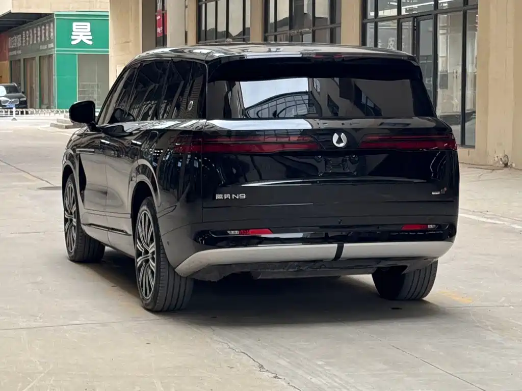 Denza Denza N9 — миниатюра 11