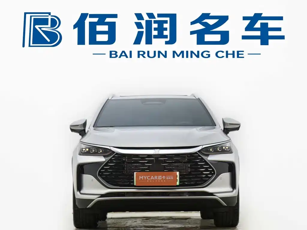 BYD Tang New Energy — миниатюра 2
