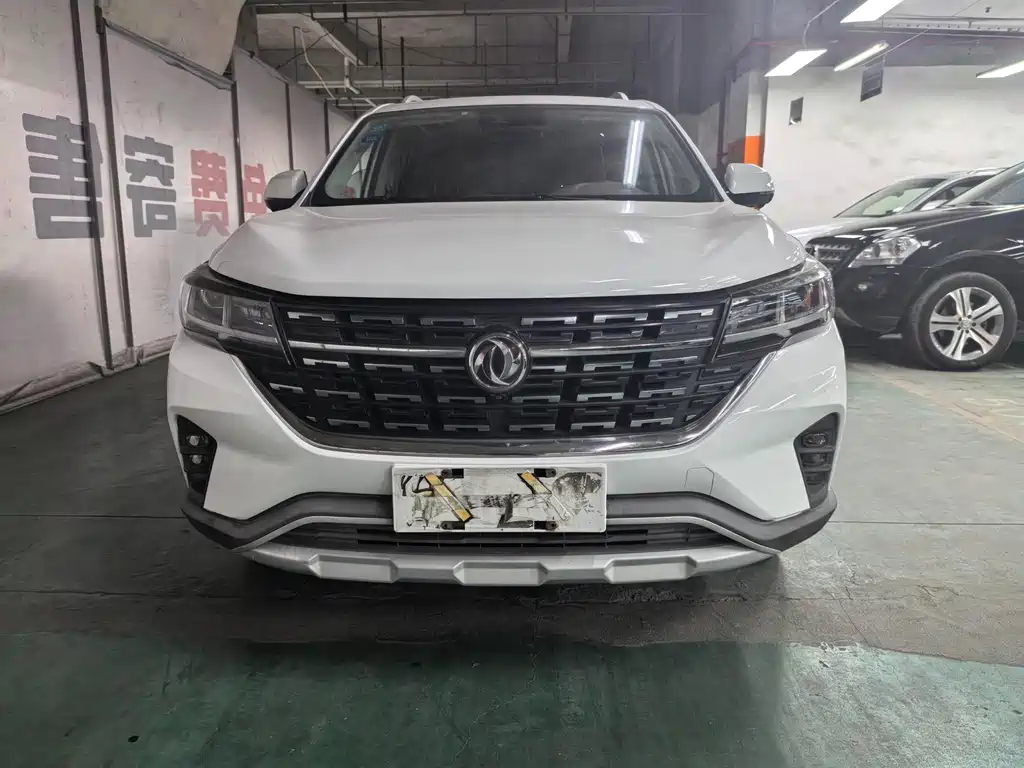 DONGFENG POPULAR T5