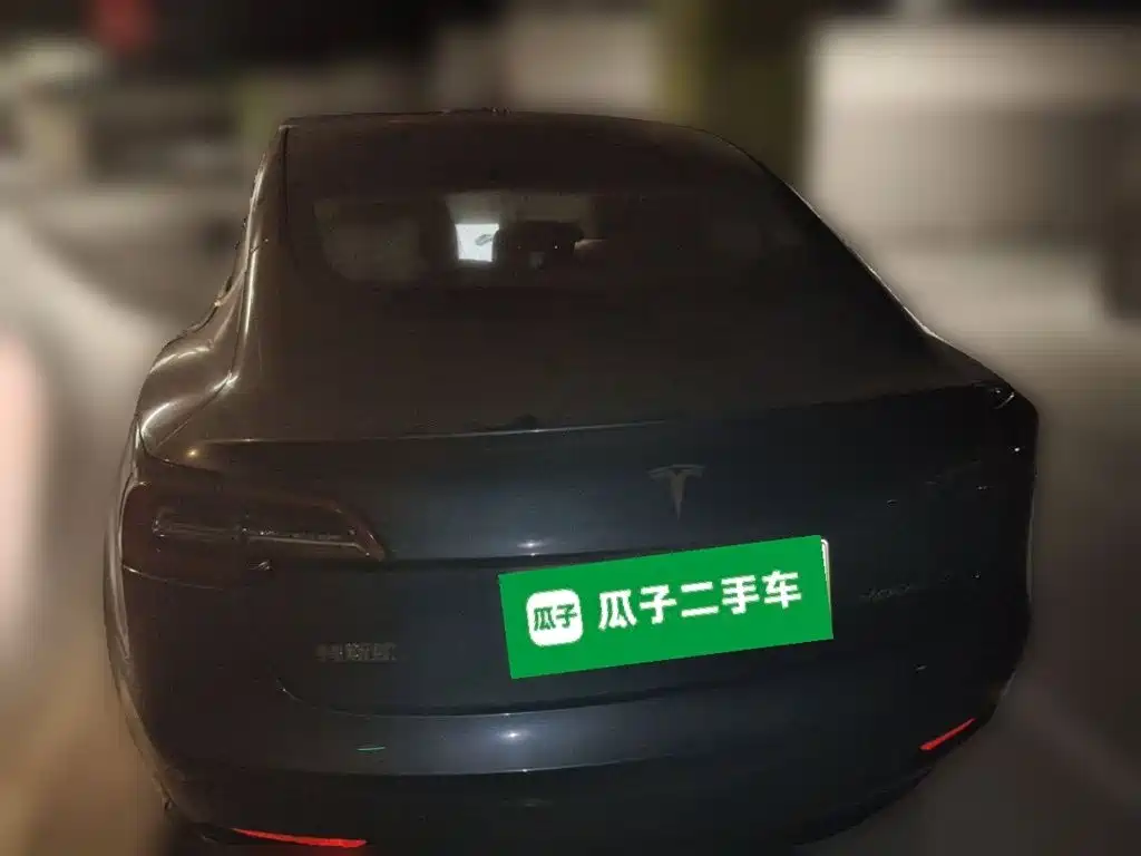 Tesla Model 3 — миниатюра 3