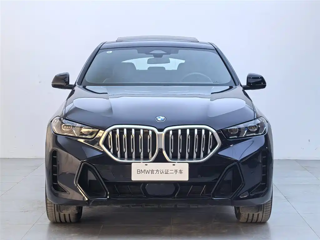 BMW X6 — миниатюра 2