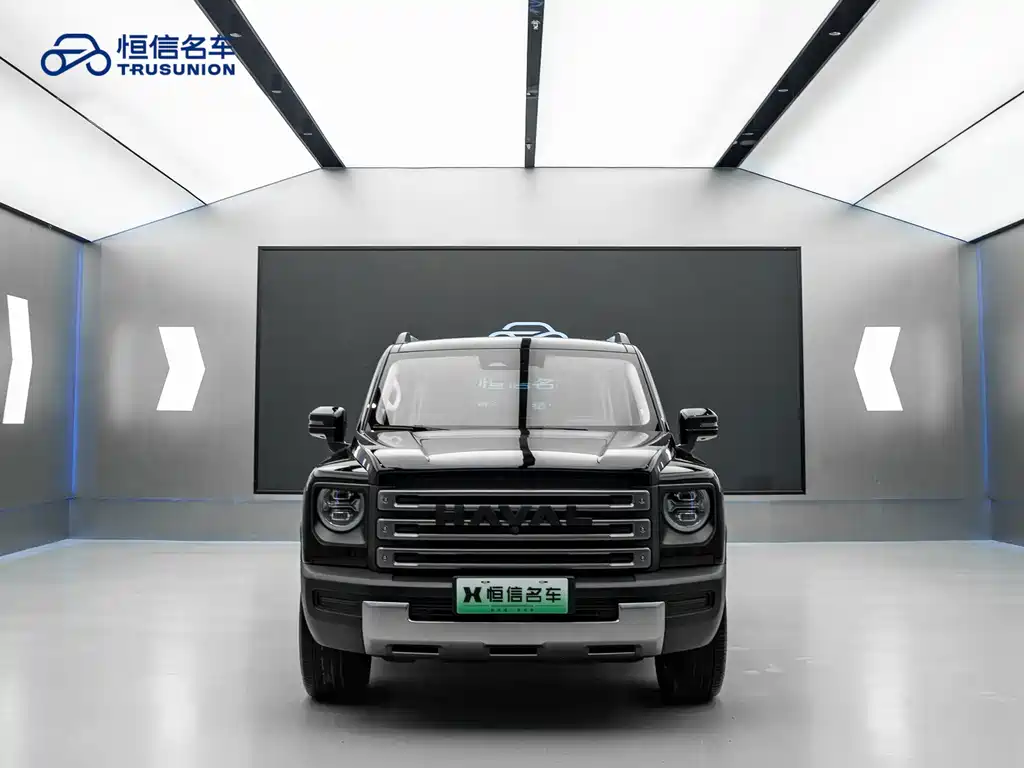 HAVAL RAPTORS NEW ENERGY