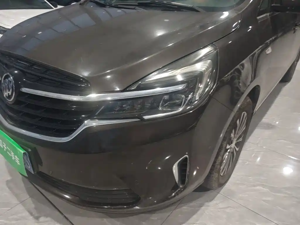 Buick GL8 — миниатюра 24