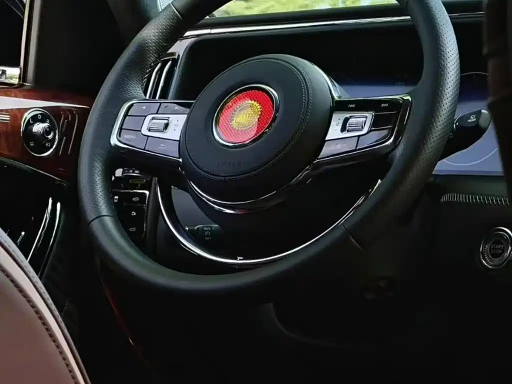Hongqi Hongqi Golden Sunflower Guoyao — миниатюра 9