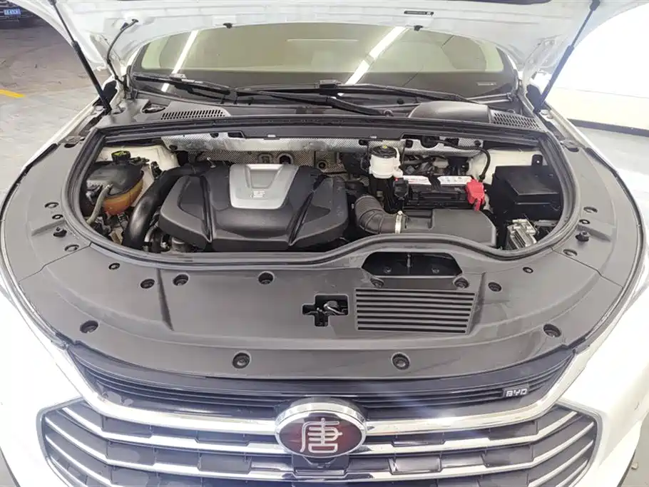 BYD Tang 2018 2.0T AT Luxury 5 мест V