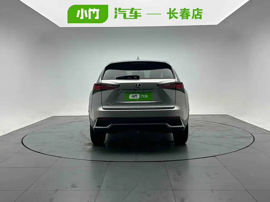 Lexus NX — миниатюра 4