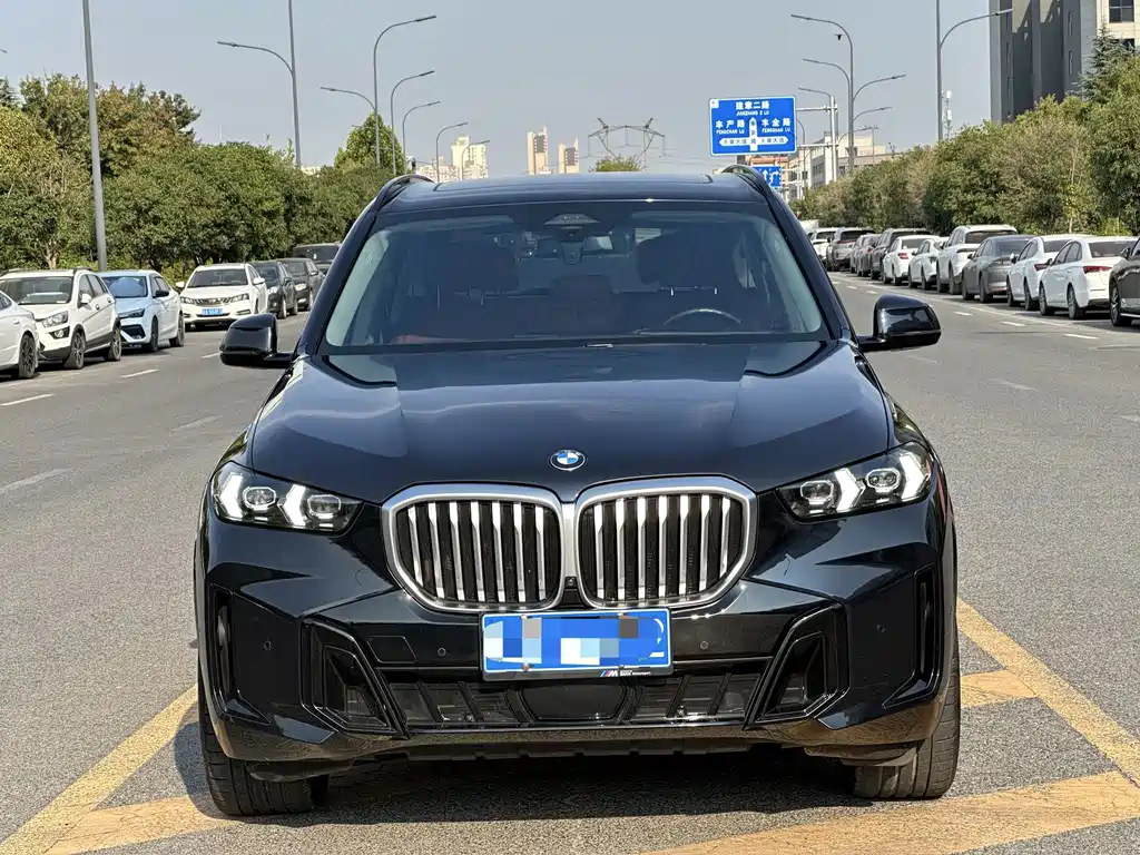 BMW X5 — миниатюра 2