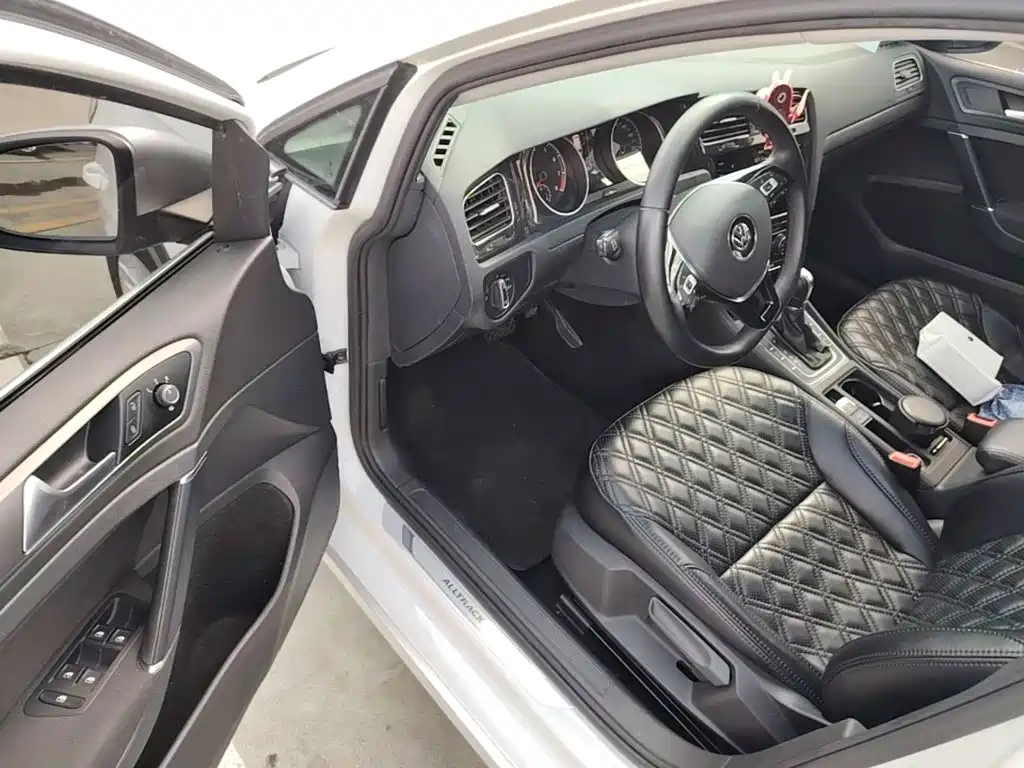 Volkswagen Golf (Import) — миниатюра 16