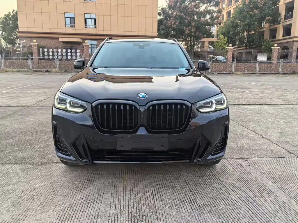 BMW X3 — миниатюра 2