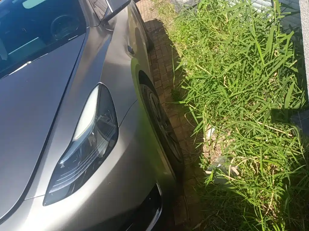 Tesla Model Y — миниатюра 23